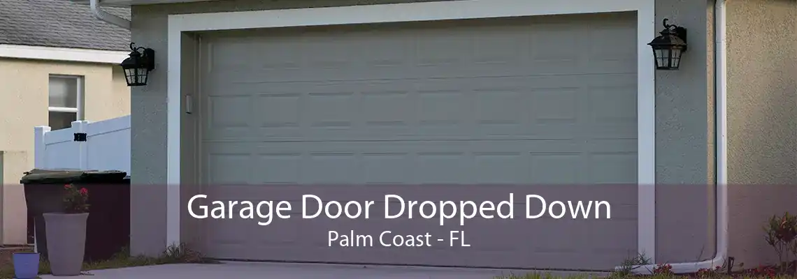 Garage Door Dropped Down Palm Coast - FL