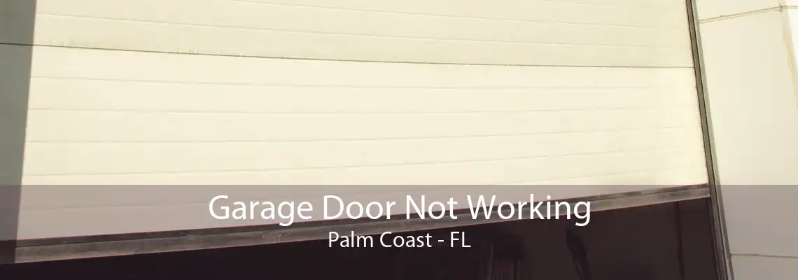 Garage Door Not Working Palm Coast - FL