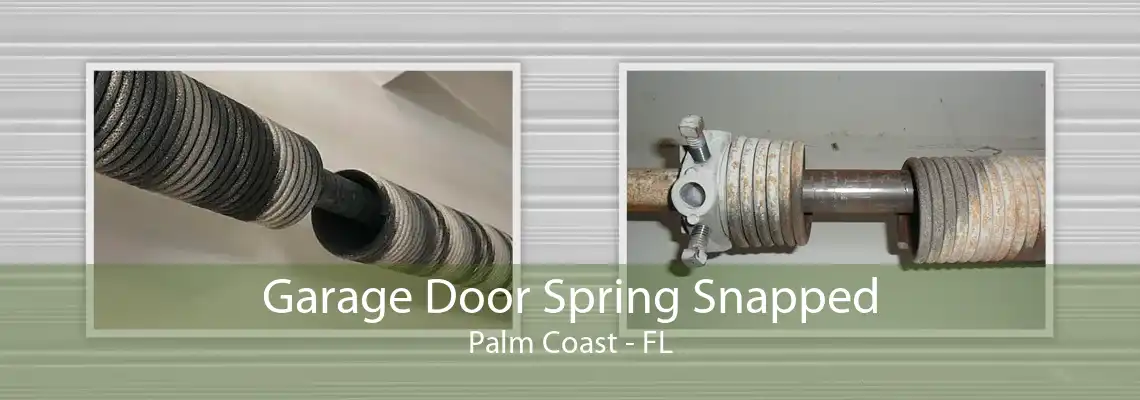 Garage Door Spring Snapped Palm Coast - FL