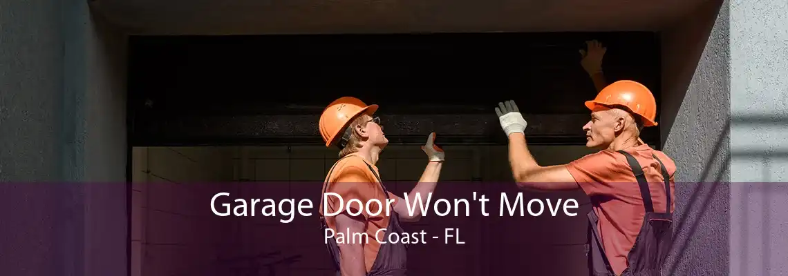 Garage Door Won't Move Palm Coast - FL